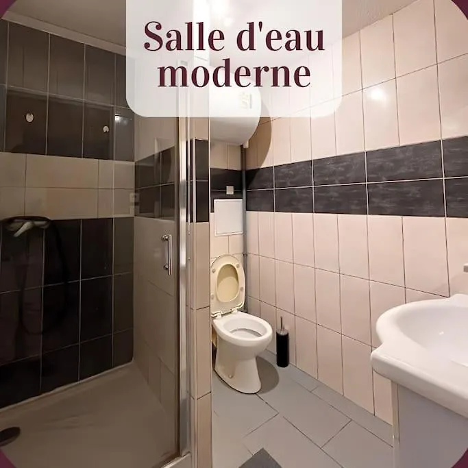 Appartement 1Er Etage Calme Parking Gratuit A 1 Min A Pieds Roanne